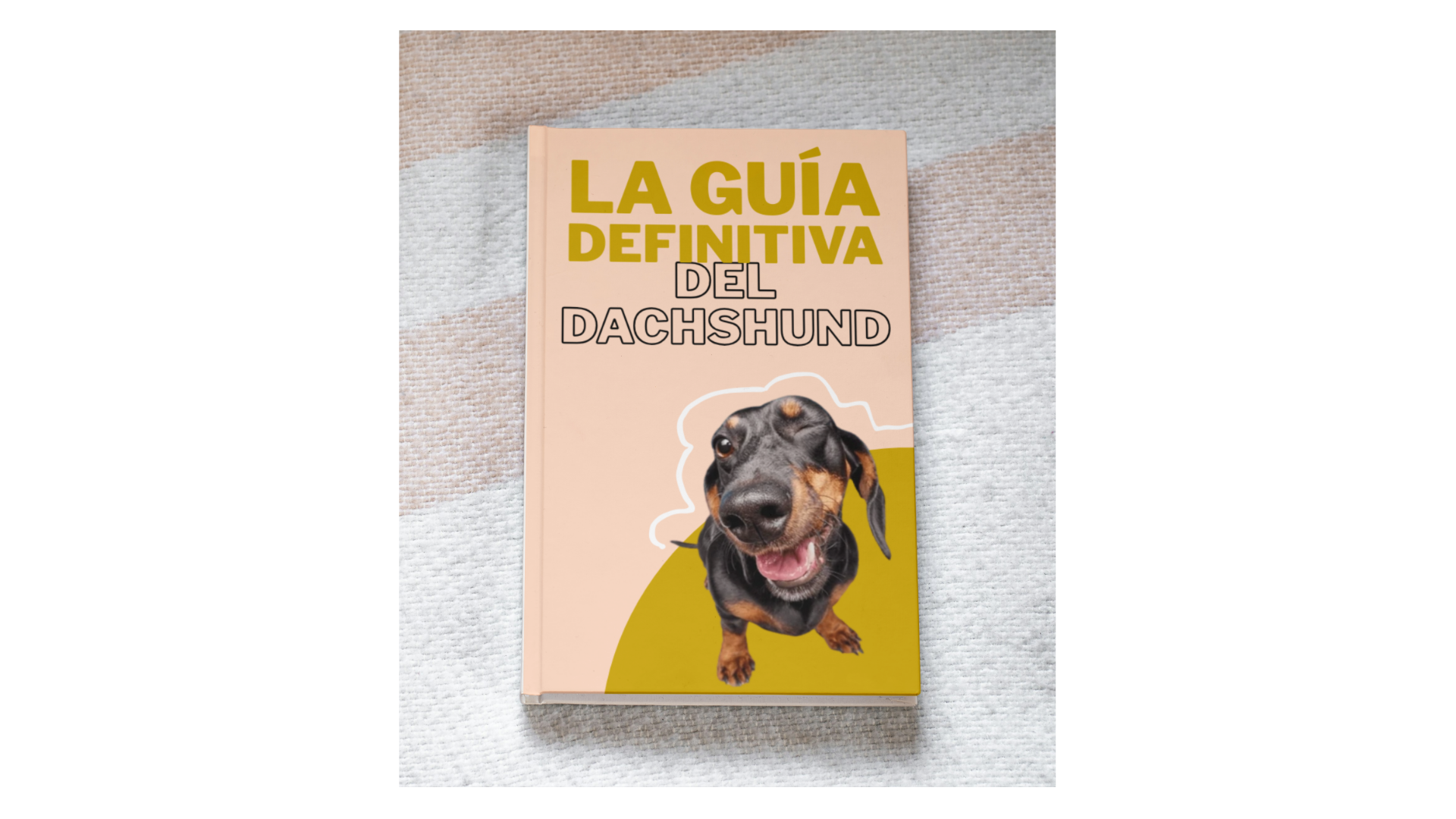 La Guía Definitiva del Perro Salchicha